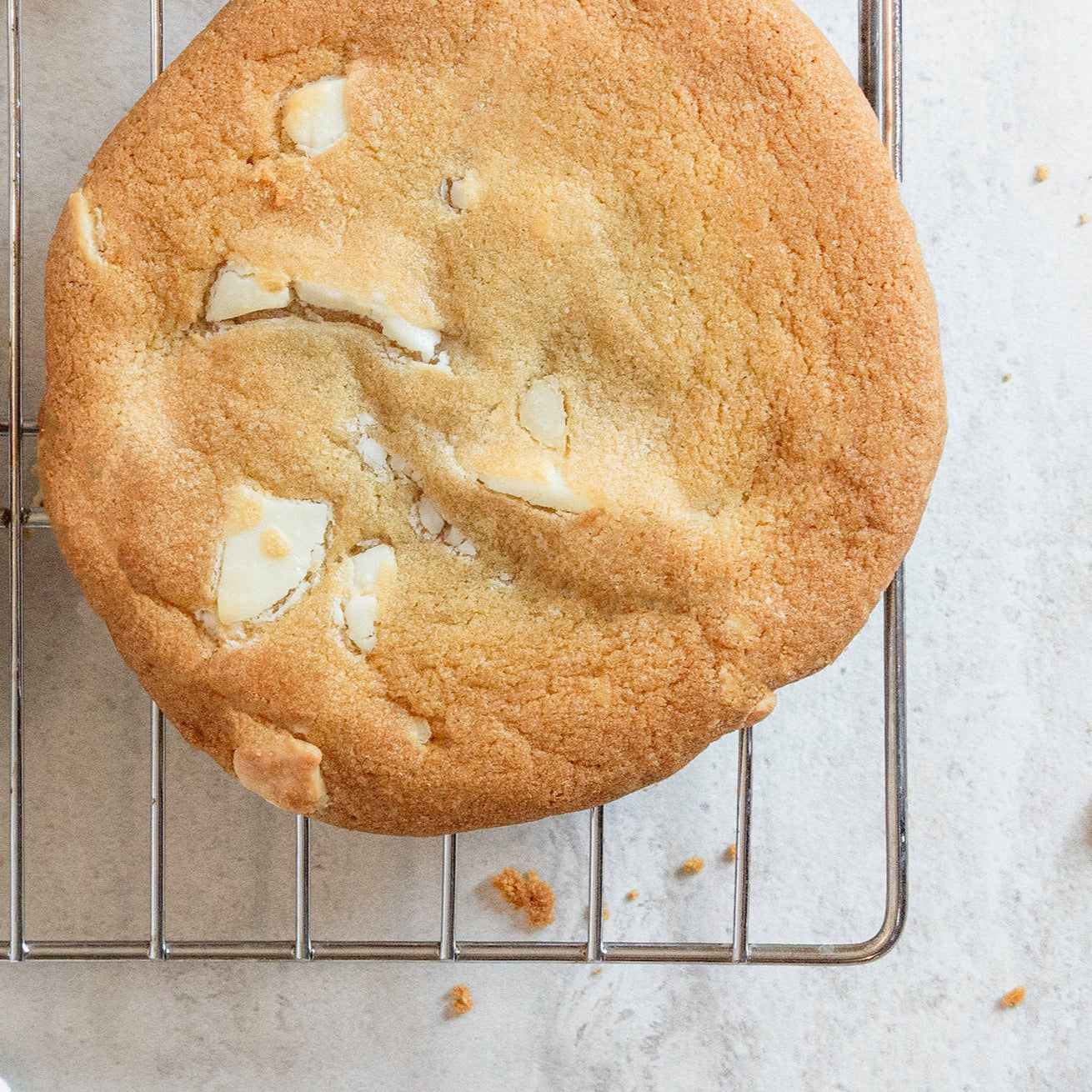Down Home Cookies White Chocolate Macadamia Nut